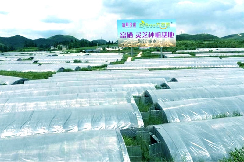 三号基地