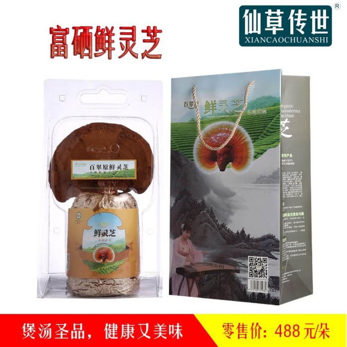 富硒鲜灵芝，给你全天候的养生护航！