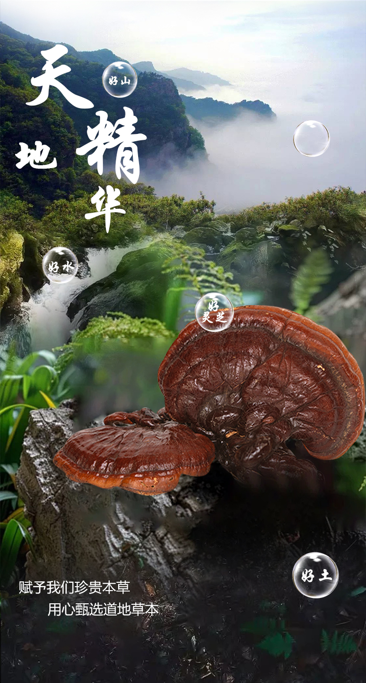 芝了植物饮品-详情页_05.jpg