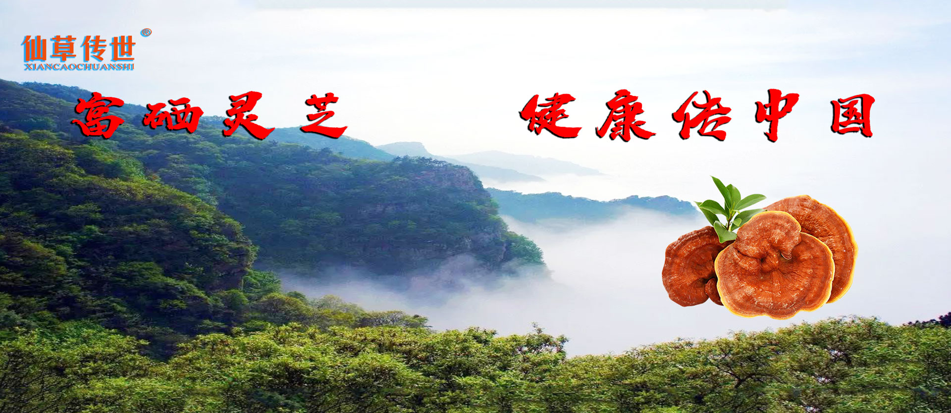 通栏图片