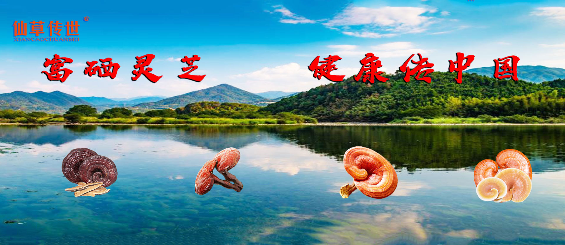 通栏图片
