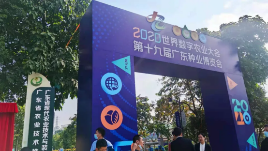 情意农农，祝贺仙草传世与种博会第二次牵手成功