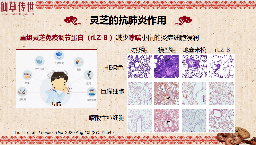 微信图片_20250328103458 - 副本.png