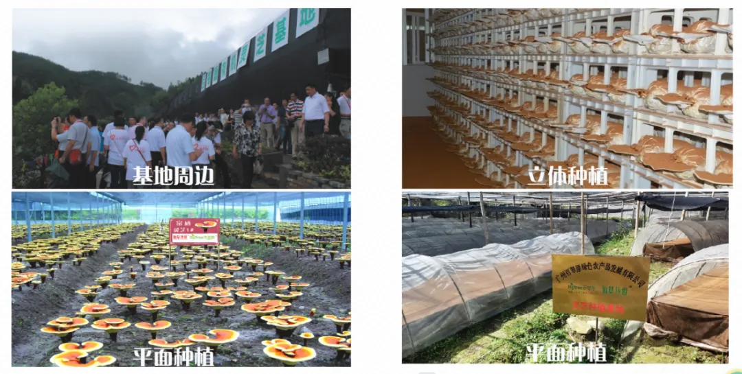 微信图片_20250328151714.png