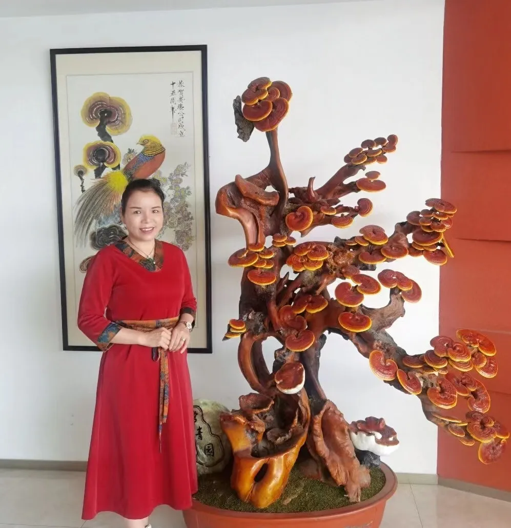 微信图片_20250328152542.png