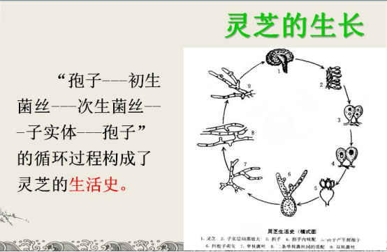 微信图片_20250328175810.png
