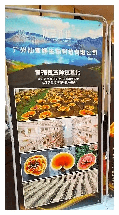 微信图片_20250401152705.png