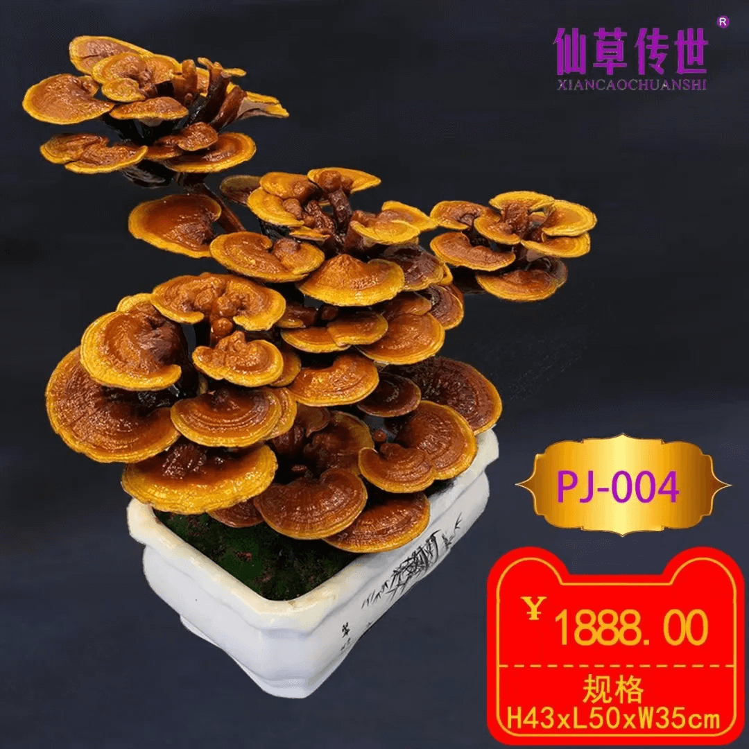 微信图片_20250401154304.png