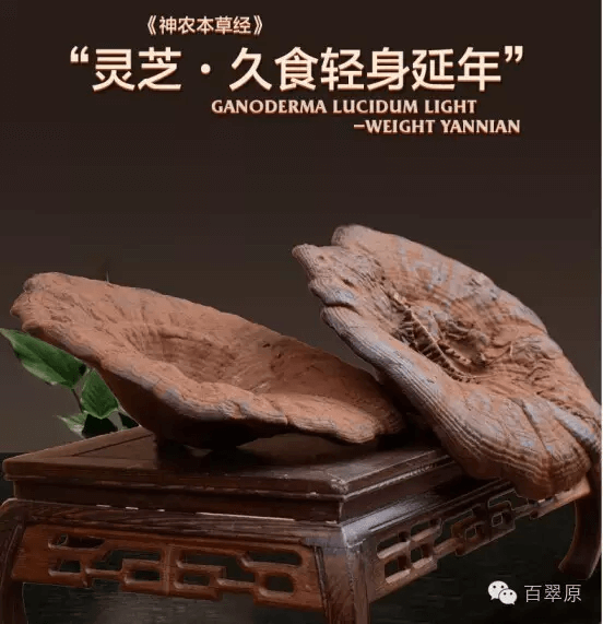 微信图片_20250327173605.png