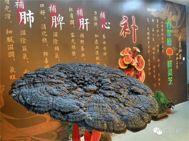 微信图片_20250327171207.png