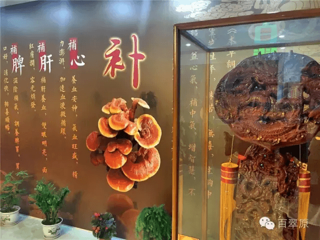 微信图片_20250327171212.png