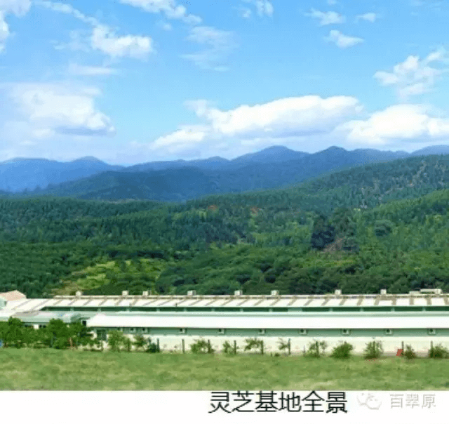 微信图片_20250327163438.png