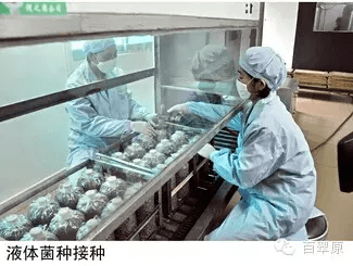 微信图片_20250327162654.png