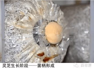 微信图片_20250327162657.png