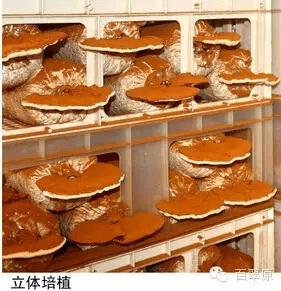 微信图片_20250327162705.png