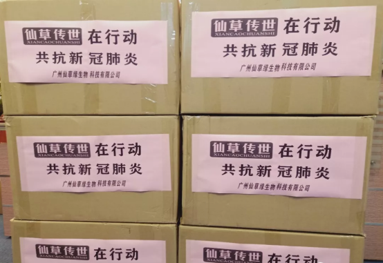 仙草传世 10万灵芝 助力疫情防控