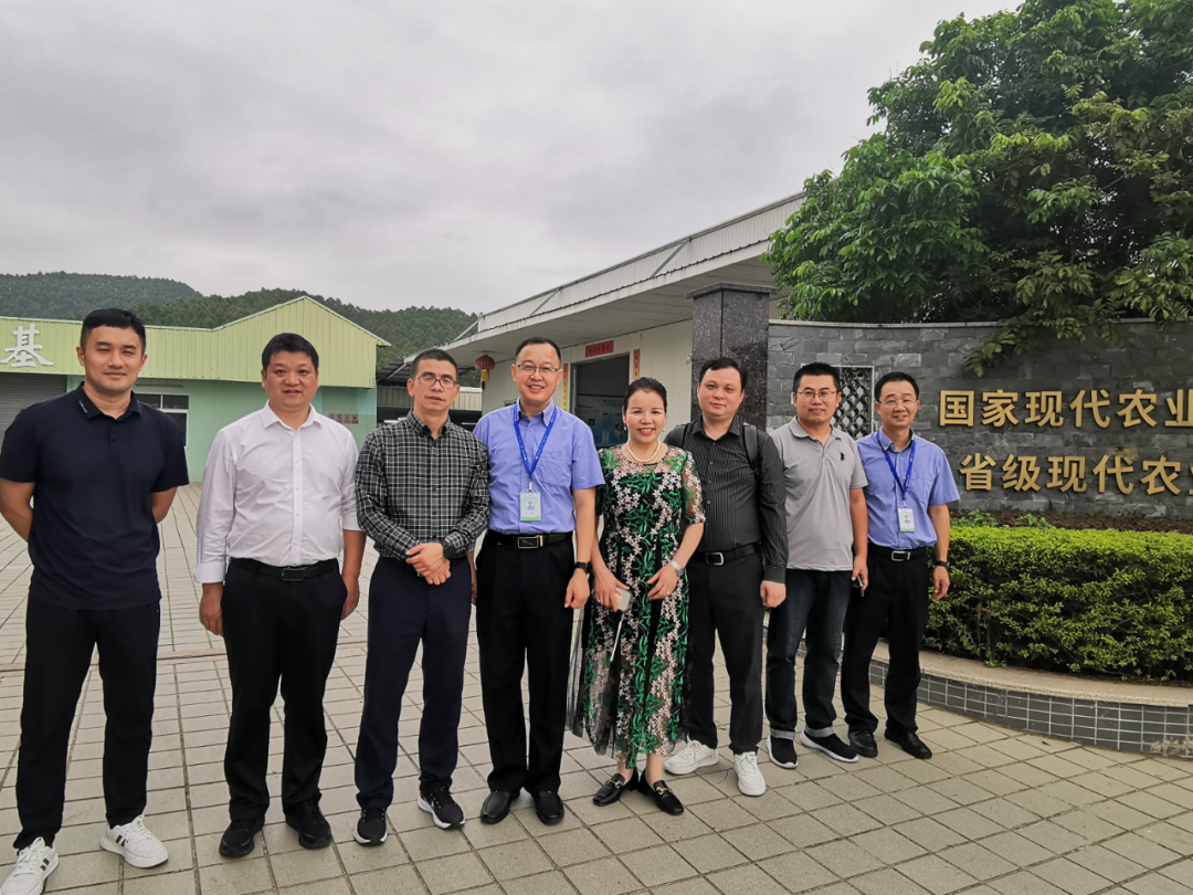 浙江衢州柯城区领导带队考察仙草传世灵芝投资项目